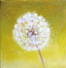 white dandelion on yellow by Unknown Artist